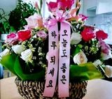 팜모닝 · 게시글 이미지