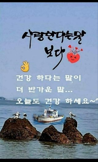 이정홍님의 연말인사 같이해요💕 · 참여글 작성글 사진