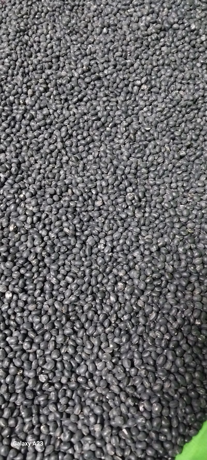 이일철 (조이산골)님의 장터 판매 상품 [서리맞은서리태1Kg ] 첨부 사진