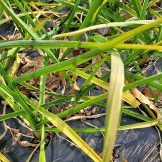 이창화님의 자유주제 · 자유게시판 작성글 사진