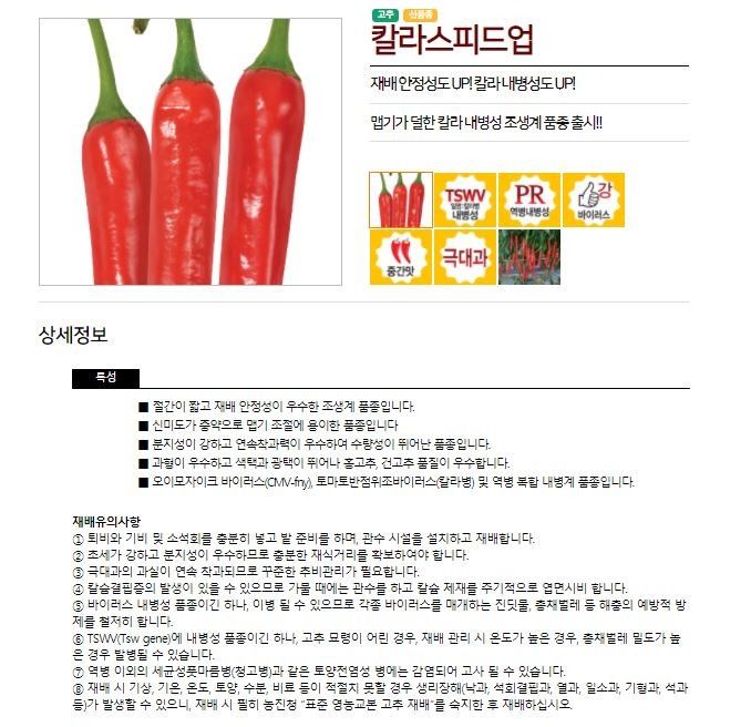 자재스토어님의 장터 판매 상품 [칼라스피드업 고추씨앗 1200립 극대과 탄저병 칼라병 예방 바이러스 고추종자 농우바이오] 첨부 사진