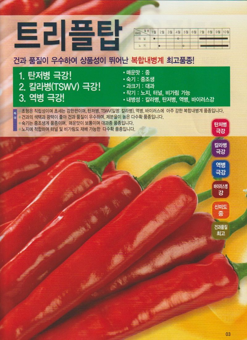 자재스토어님의 장터 판매 상품 [고추종자 트리플탑 1200립 다수확 바이러스 칼라병 탄저병 역병 고추씨앗 삼성종묘] 첨부 사진