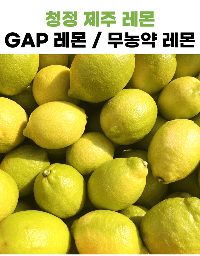 제철365님의 장터 판매 상품 [향기부터 다른 청정제주 레몬] 첨부 사진
