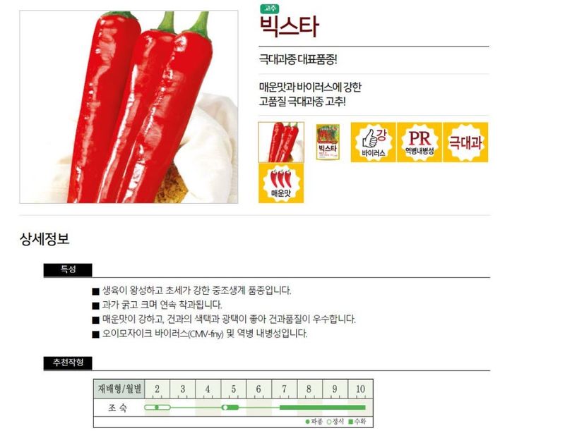 자재스토어님의 장터 판매 상품 [고추씨앗 빅스타 1200립 극대과 고추종자 농우바이오] 첨부 사진