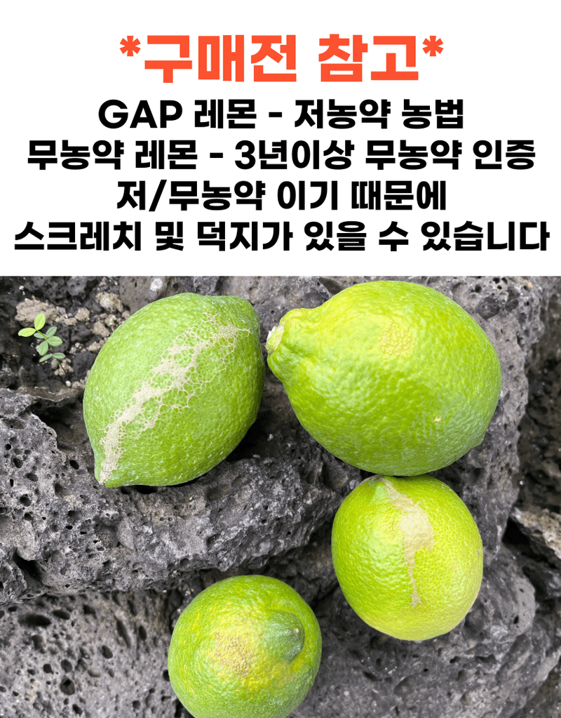 제철365님의 장터 판매 상품 [향기부터 다른 청정제주 레몬] 첨부 사진