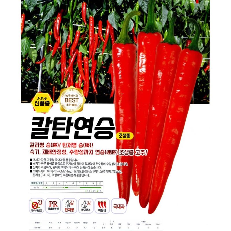 장터 상품 [칼탄연승 1200립 극대과 고추씨앗 농우바이오 고추종자 극대과 칼라병 탄저병 극강] 썸네일