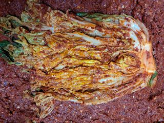 김기한님의 자유주제 · 자유게시판 작성글 사진