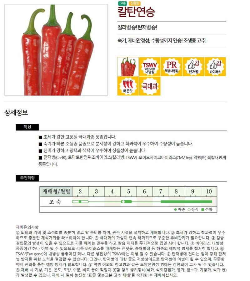 자재스토어님의 장터 판매 상품 [칼탄연승 1200립 극대과 고추씨앗 농우바이오 고추종자 극대과 칼라병 탄저병 극강] 첨부 사진