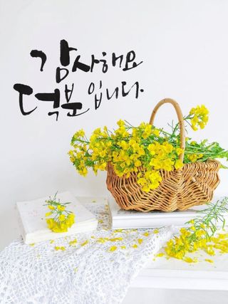 삼부자님의 연말인사 같이해요💕 · 참여글 작성글 사진