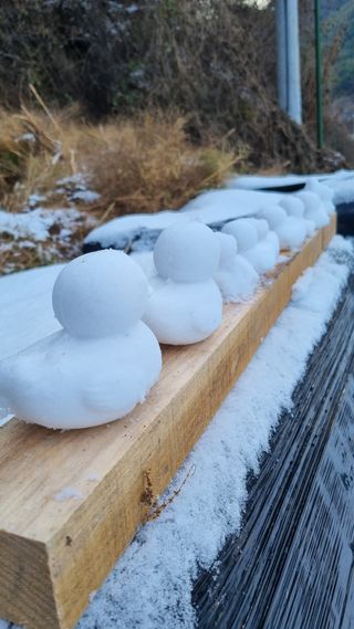 이정식님의 연말인사 같이해요💕 · 참여글 작성글 사진