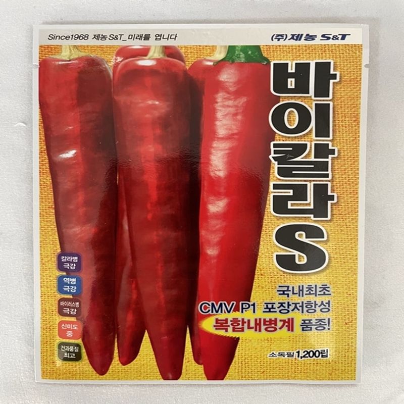 장터 상품 [고추종자 바이칼라S 1200립 다수확 바이러스 칼라병 탄저병 역병 고추씨앗 삼성종묘 제농] 썸네일