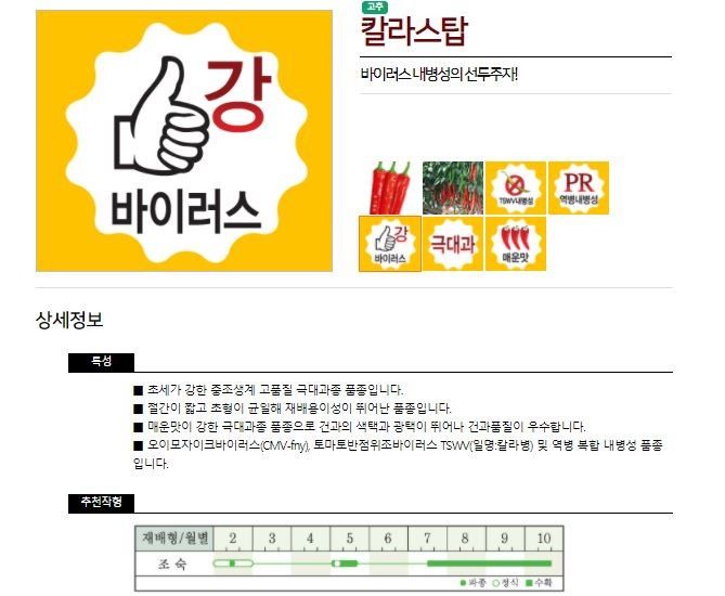 자재스토어님의 장터 판매 상품 [칼라스탑 고추씨앗 1200립 극대과 탄저병 칼라병 예방 바이러스 고추종자 농우바이오] 첨부 사진