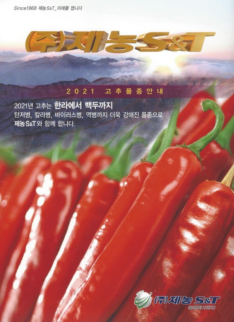 자재스토어님의 장터 판매 상품 [PR 큰열 청양 고추씨앗 1200립 종자 바이러스 칼라병 탄저병 역병 내병계 ] 첨부 사진