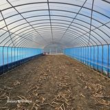 팜모닝 자유주제·자유게시판 게시글 이미지