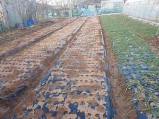 오직한일님의 연말인사 같이해요💕 · 참여글 작성글 사진