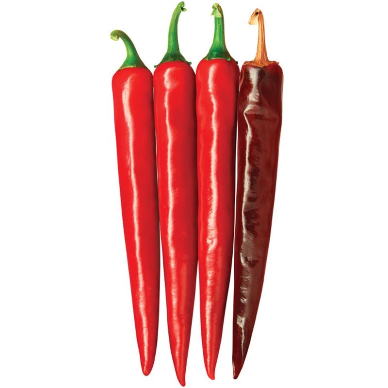 자재스토어님의 장터 판매 상품 [올복합 고추 1200립 고추종자 씨앗 칼라병 탄저병 복합내병계 다나씨드] 첨부 사진