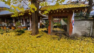 권혜전님의 연말인사 같이해요💕 · 참여글 작성글 사진