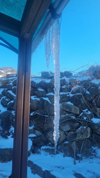 이정식님의 연말인사 같이해요💕 · 참여글 작성글 사진