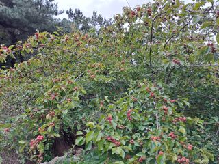 참깨11593님의 연말인사 같이해요💕 · 참여글 작성글 사진