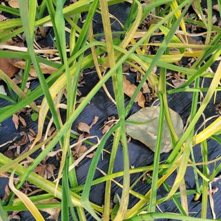 이창화님의 자유주제 · 자유게시판 작성글 사진