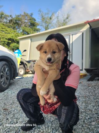 김주배님의 연말인사 같이해요💕 · 참여글 작성글 사진