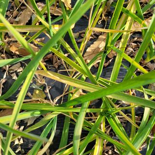 이창화님의 자유주제 · 자유게시판 작성글 사진