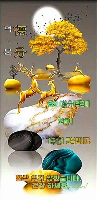 박용열조물주님 님의 자유주제 · 자유게시판 작성글 사진