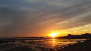 국화연구회님의 연말인사 같이해요💕 · 참여글 작성글 사진