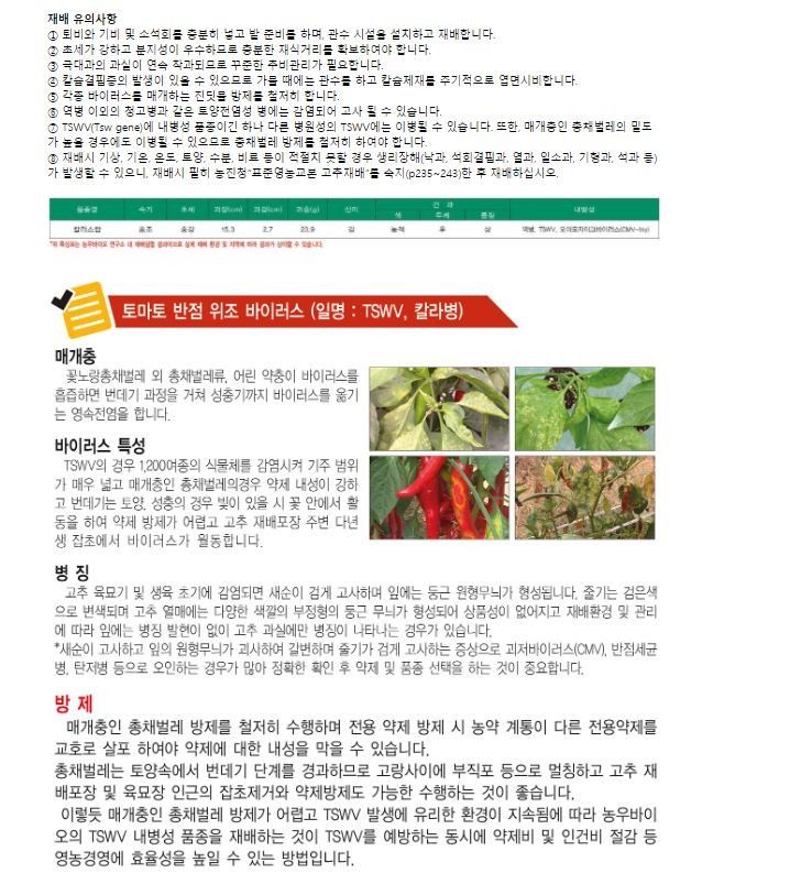 자재스토어님의 장터 판매 상품 [칼라스탑 고추씨앗 1200립 극대과 탄저병 칼라병 예방 바이러스 고추종자 농우바이오] 첨부 사진