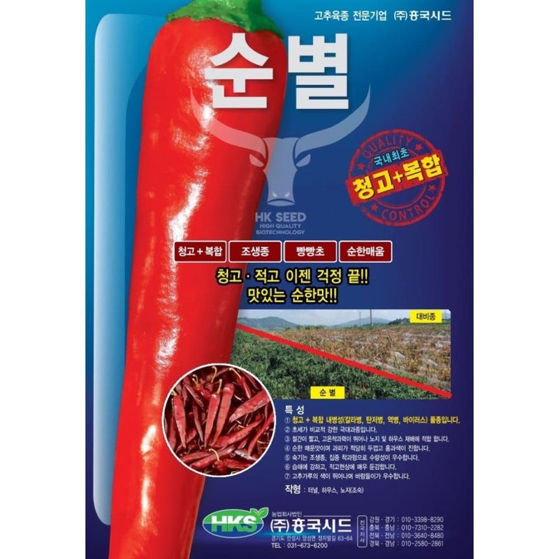 장터 상품 [순별고추 고추씨앗 1200립 흥국시드 종자] 썸네일