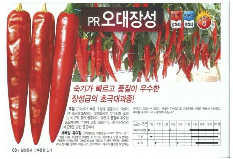 자재스토어님의 장터 판매 상품 [고추종자 피알 PR오대장성 1200립 다수확 바이러스 칼라병 탄저병 역병 고추씨앗 제농] 첨부 사진