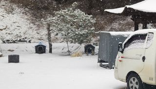 김준한님의 연말인사 같이해요💕 · 참여글 작성글 사진