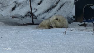 김준한님의 연말인사 같이해요💕 · 참여글 작성글 사진