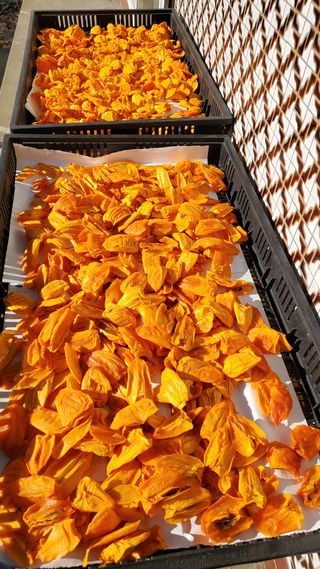 권혜전님의 자유주제 · 자유게시판 작성글 사진