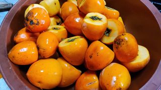 권혜전님의 자유주제 · 자유게시판 작성글 사진