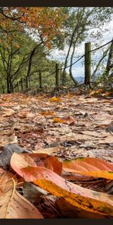 팜모닝 연말인사 같이해요💕·참여글 게시글 이미지