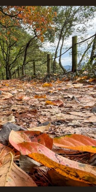 포항 농민66님의 연말인사 같이해요💕 · 참여글 작성글 사진