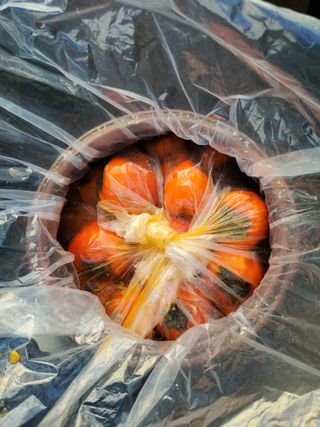 권혜전님의 자유주제 · 자유게시판 작성글 사진