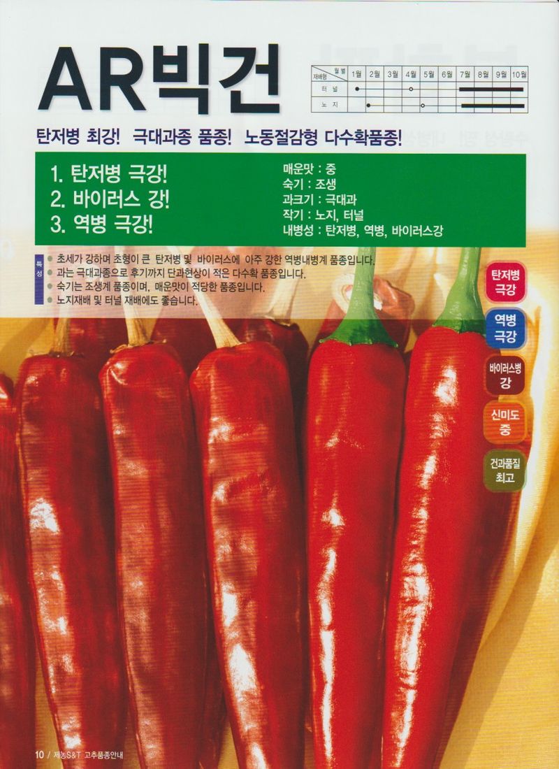 자재스토어님의 장터 판매 상품 [고추종자 빅건 1200립 탄저병 칼라병 예방 다수확 바이러스 역병 고추씨앗 제농 삼성종묘] 첨부 사진