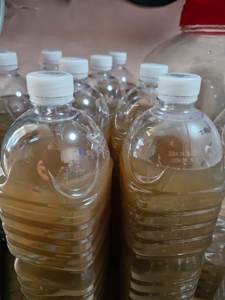 왕개미님의 자유주제 · 자유게시판 작성글 사진