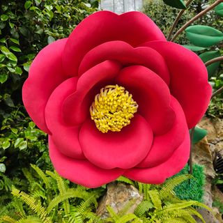 박상현님의 자유주제 · 자유게시판 작성글 사진