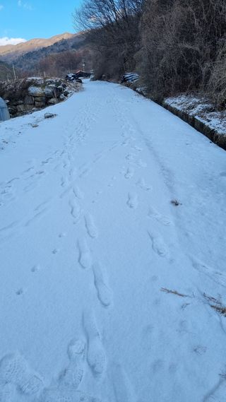 이정식님의 연말인사 같이해요💕 · 참여글 작성글 사진