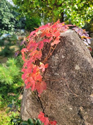 자두17253님의 연말인사 같이해요💕 · 참여글 작성글 사진