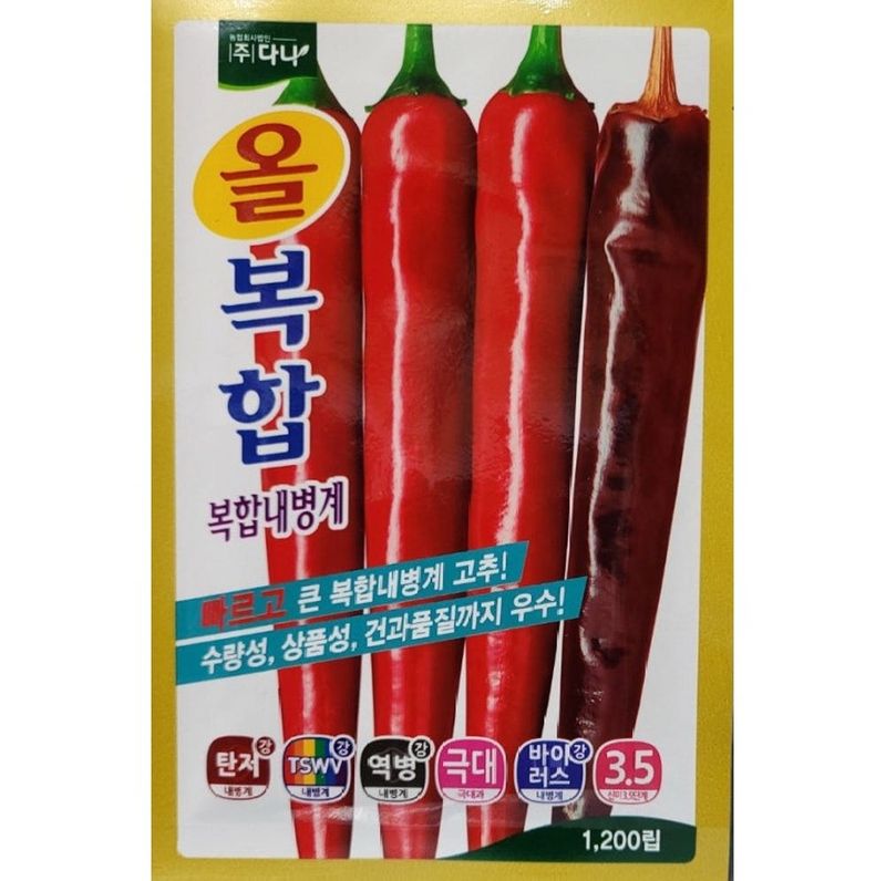 장터 상품 [올복합 고추 1200립 고추종자 씨앗 칼라병 탄저병 복합내병계 다나씨드] 썸네일