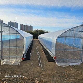 박용열조물주님 님의 자유주제 · 자유게시판 작성글 사진