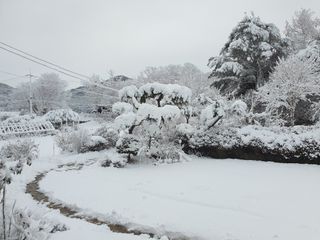 강종숙님의 연말인사 같이해요💕 · 참여글 작성글 사진