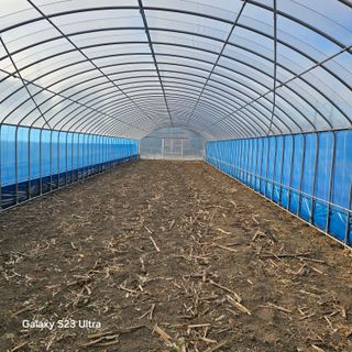 박용열조물주님 님의 자유주제 · 자유게시판 작성글 사진