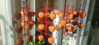 접시꽃님의 자유주제 · 자유게시판 작성글 사진