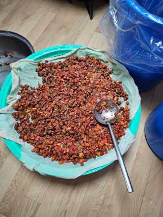 왕개미님의 자유주제 · 자유게시판 작성글 사진