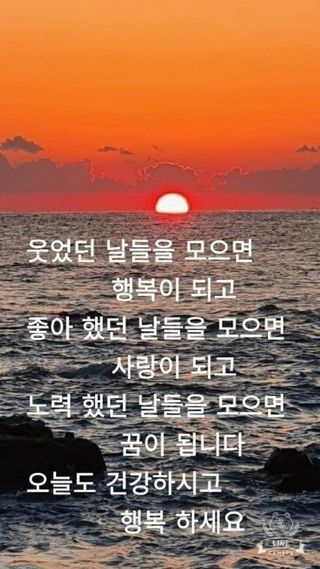 knlee님의 연말인사 같이해요💕 · 참여글 작성글 사진